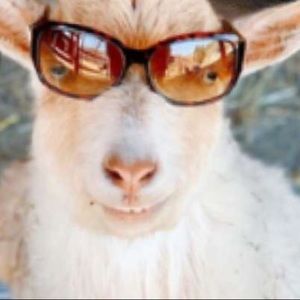 Meet your Posher, Angelina